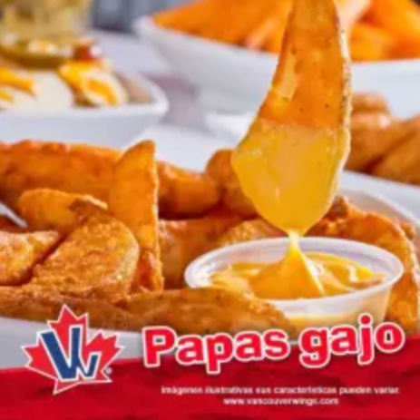 Papas Gajo