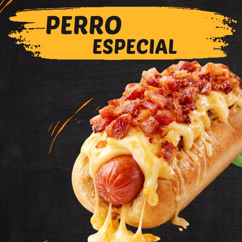 PERRO ESPECIAL