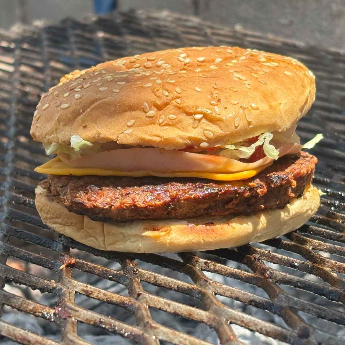 Hamburguesa Sencilla