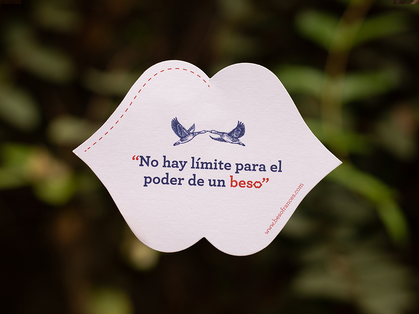 Tarjeta Dedicatoria