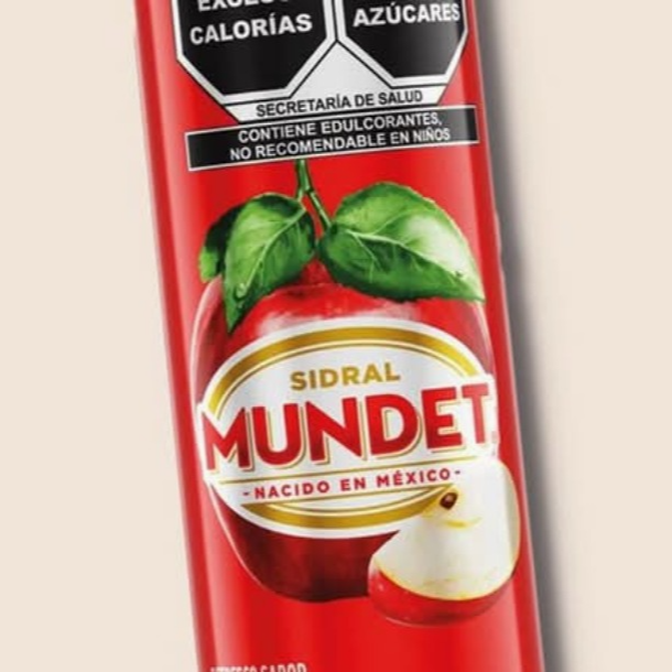 Sidral Mundet Lata 355ML