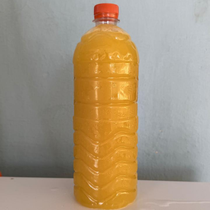 AGUA DE MANGO 1 LITRO