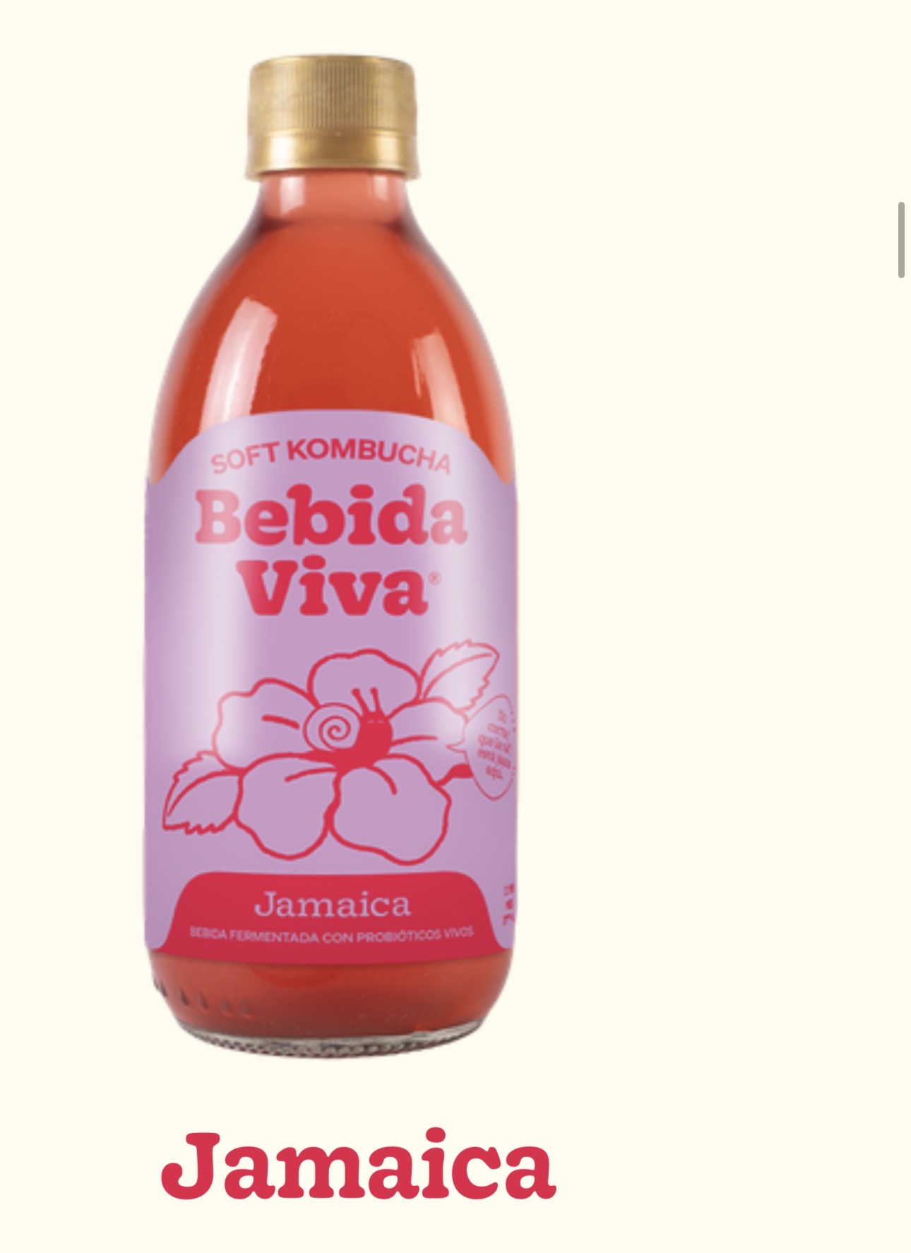 Kombucha de Jamaica