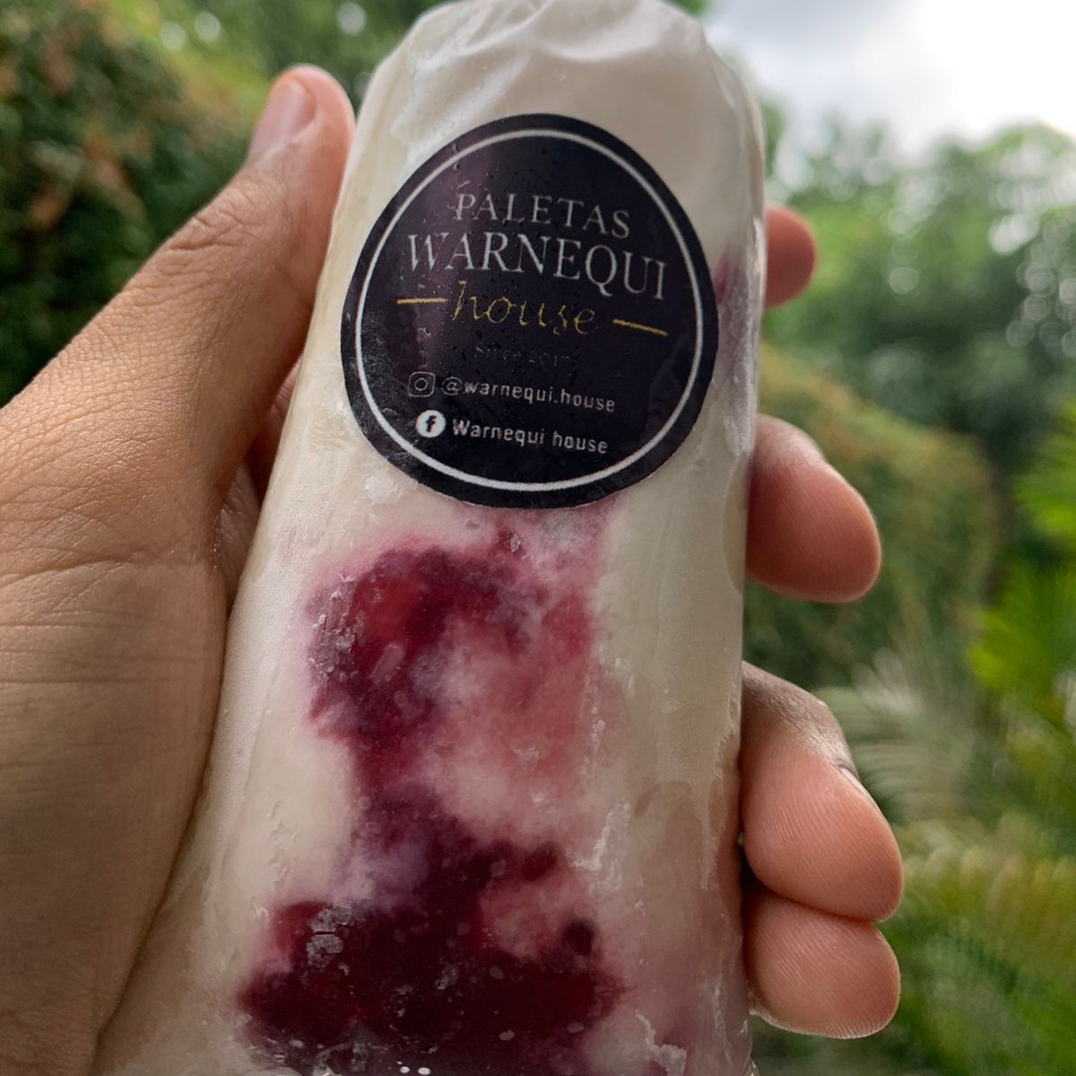 Paleta Gourmet de Queso-zarzamora