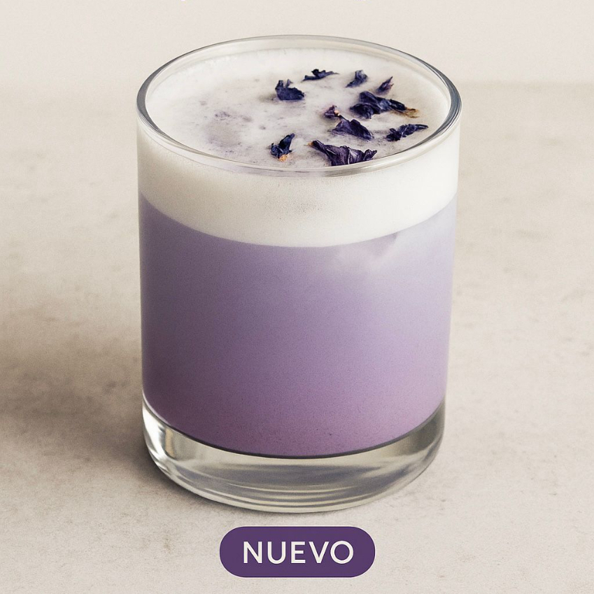 Taro Latte Celestial