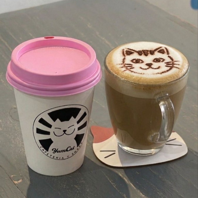 Catpuchino