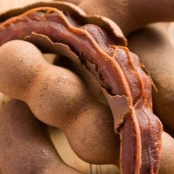 Bollo De Tamarindo