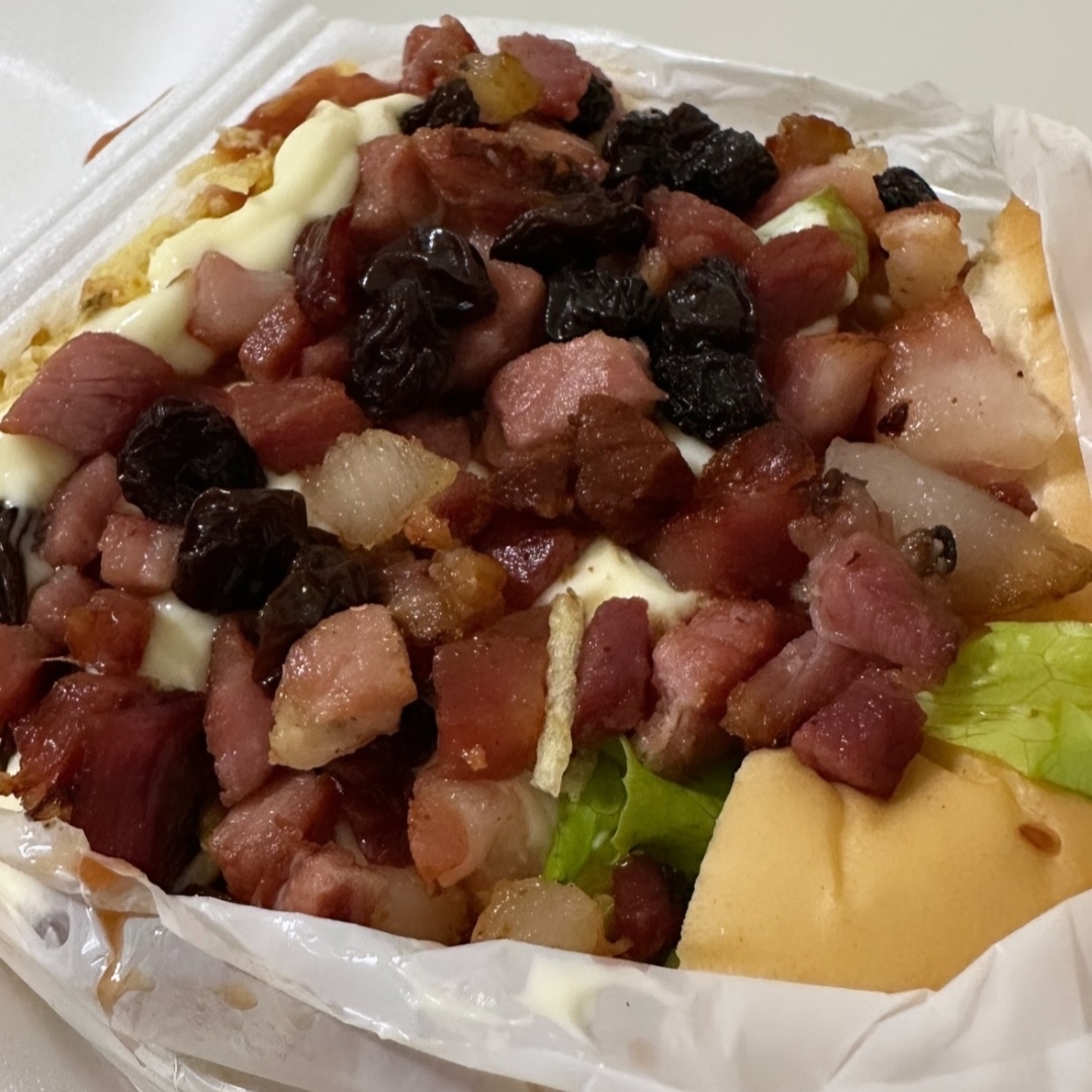 Pão, carne, ovo, mussarela, presunto, salada, molhos e queijo ralado