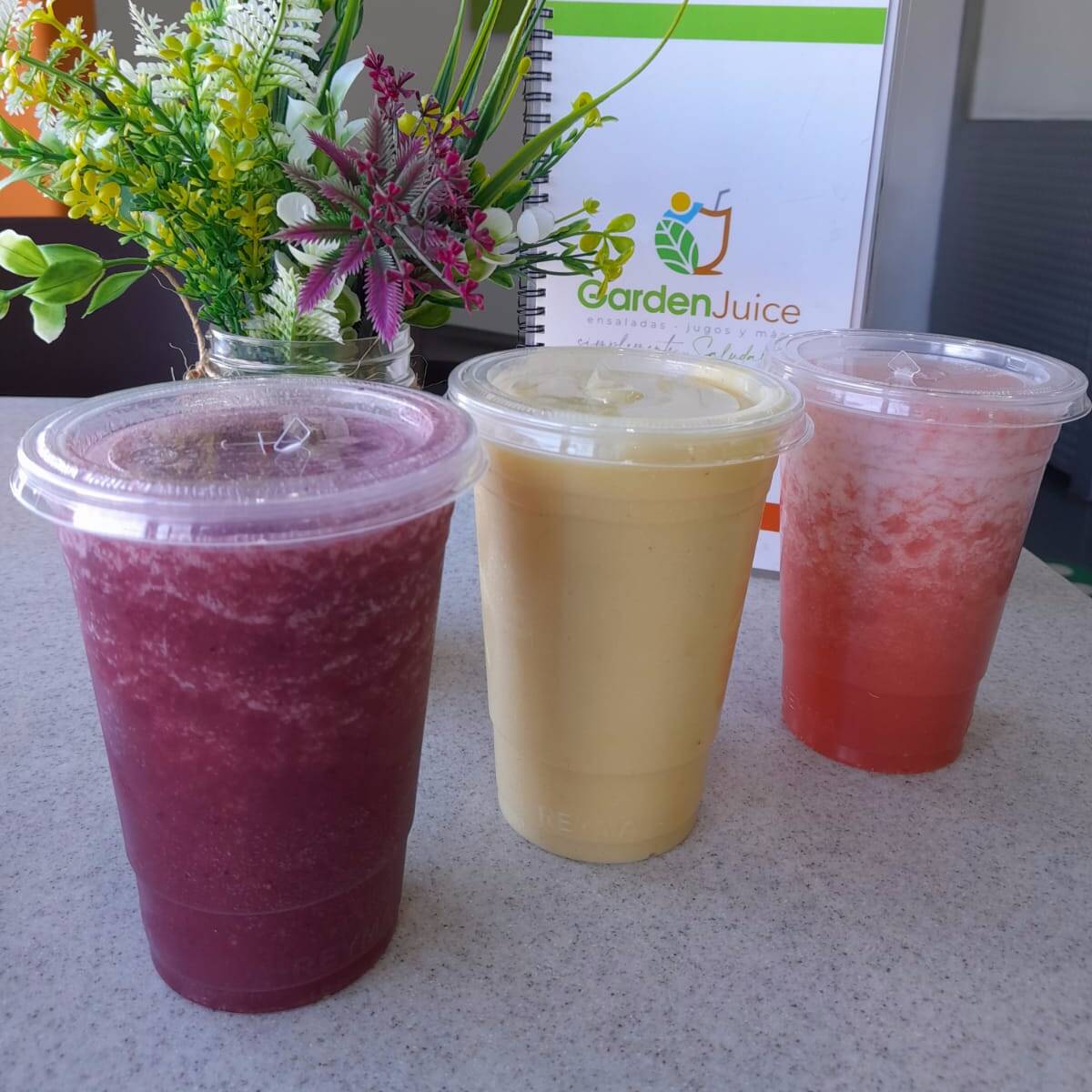 Jugo Mediano 600 Ml