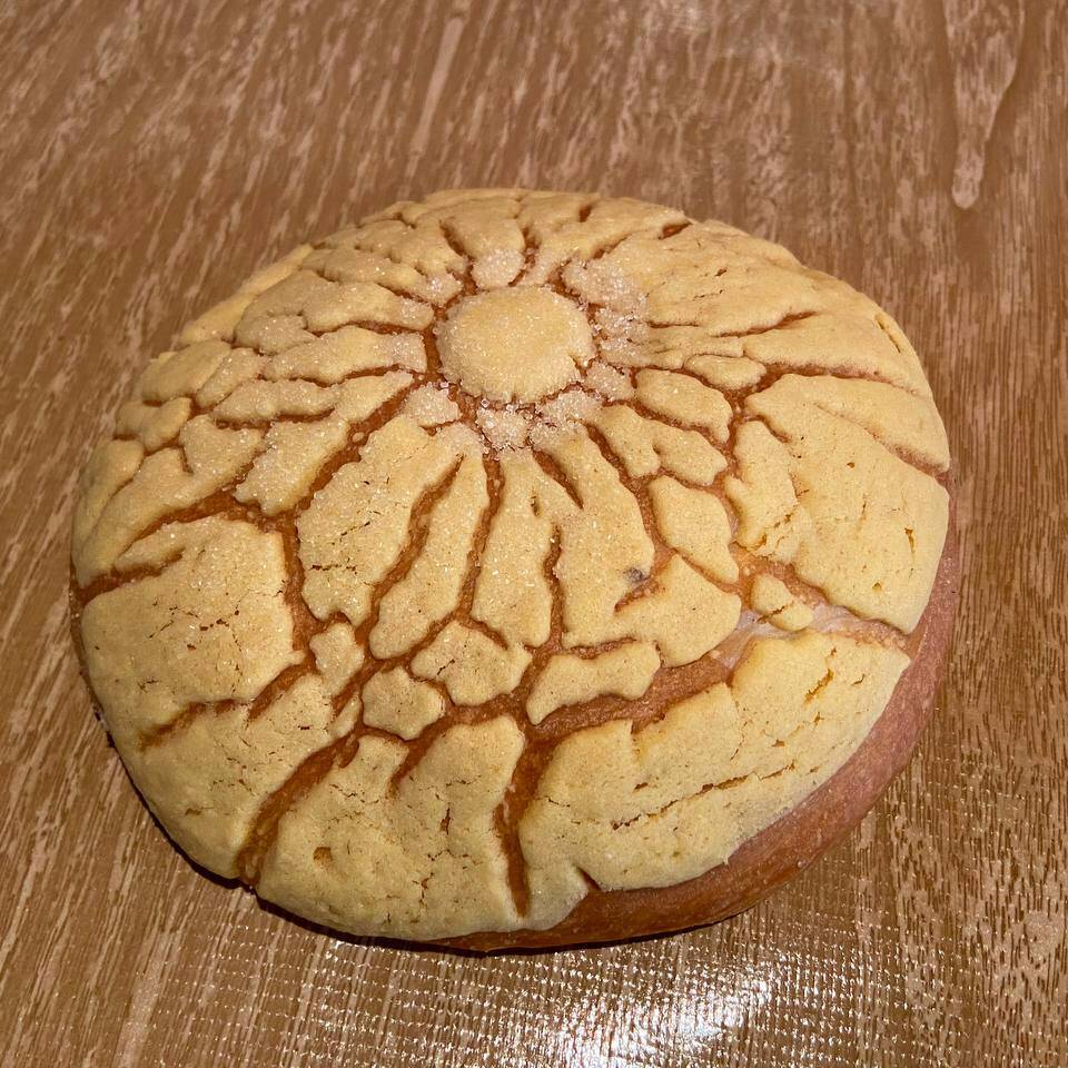Concha Amarilla