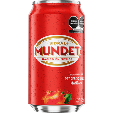 Sidral Mundet Manzana 355ml