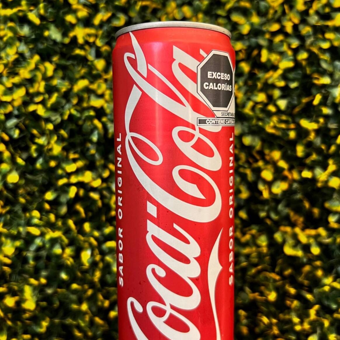 Soda de Lata 355 ml