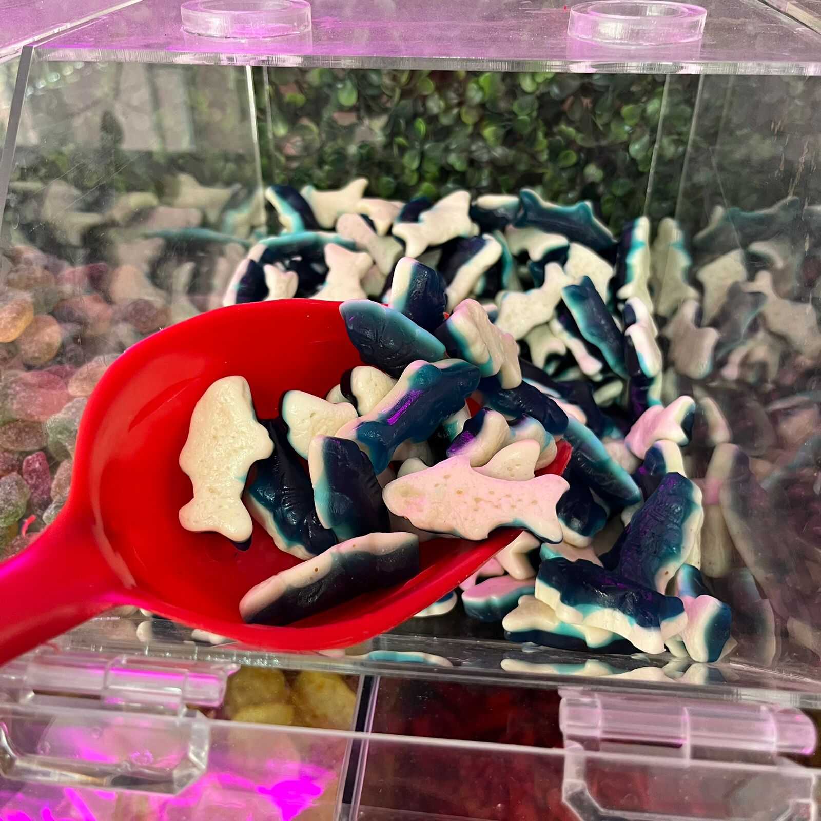 GOMITA DE TIBURON