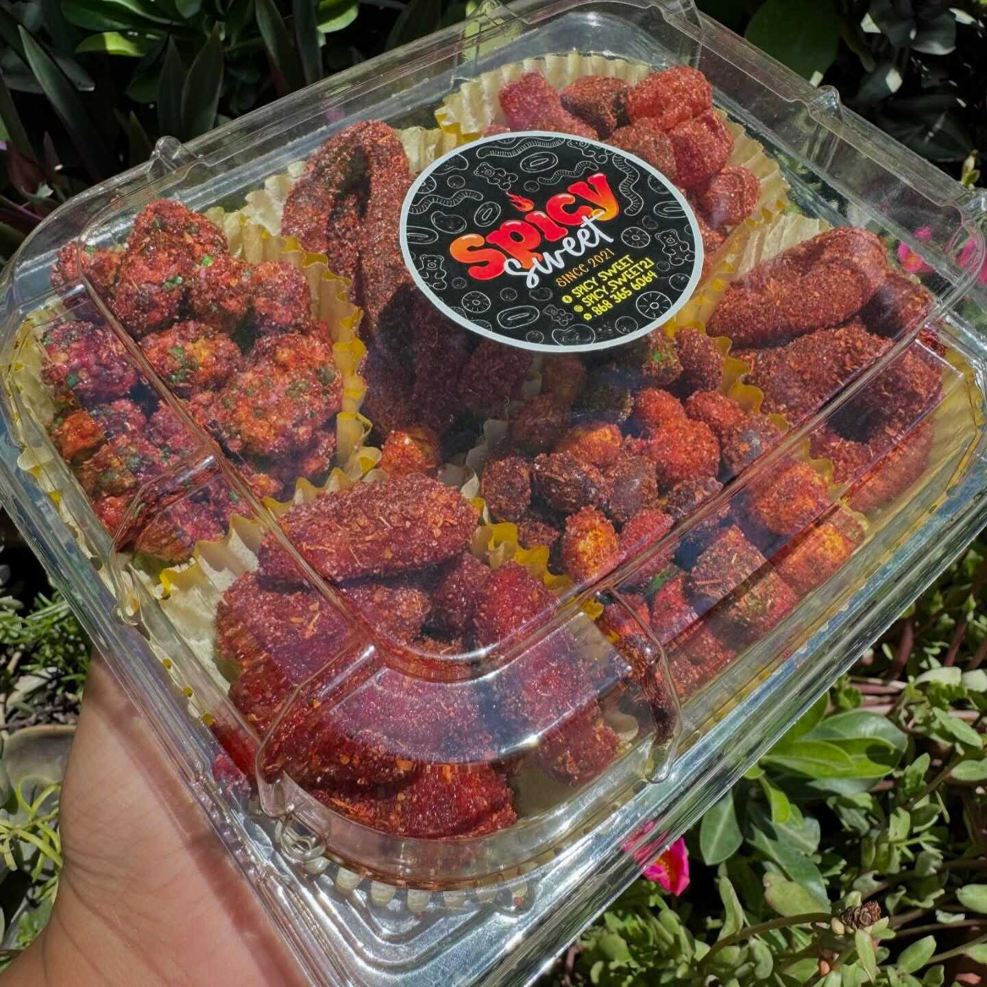 CHAROLA MIX