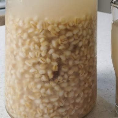 Agua de Cebada 500 ml
