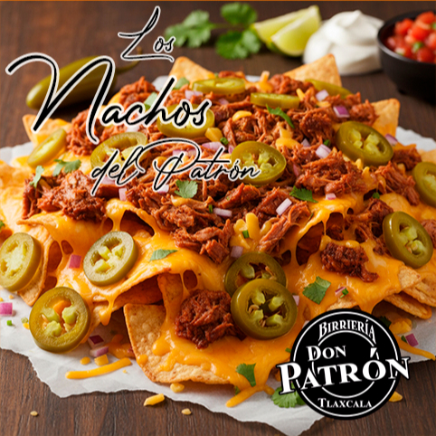 Birria-Nachos
