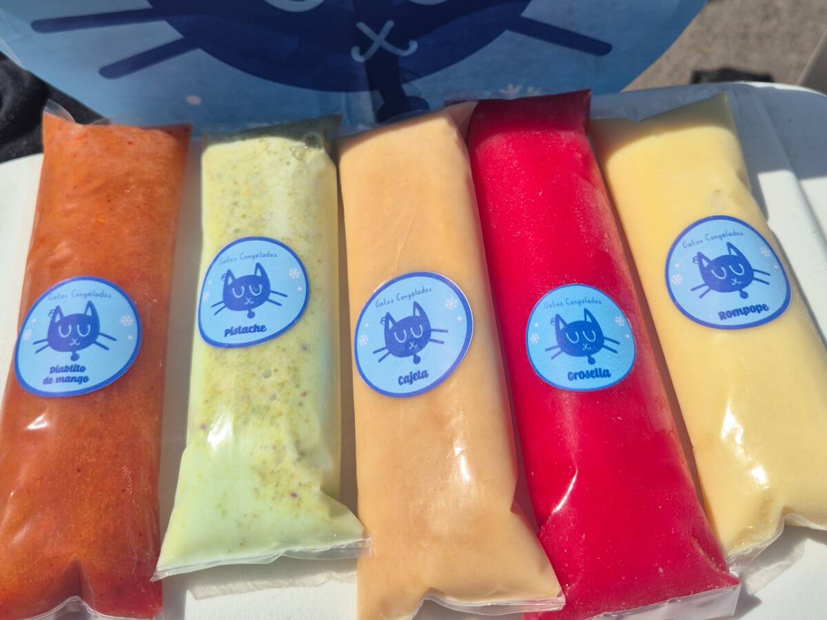 Gatos Congelados (Bolis artesanales)