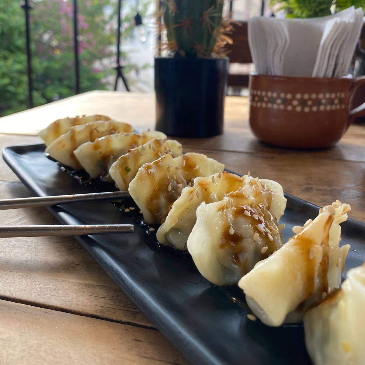 Dumplings de Pollo
