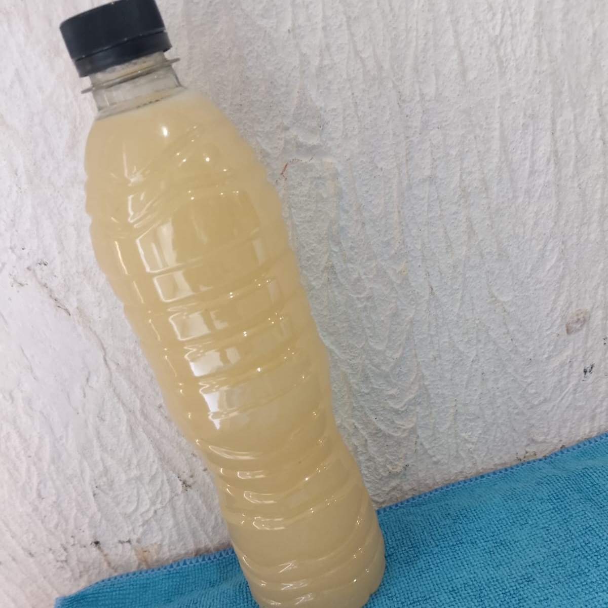 Aguas Frescas de Sabor de 600ml