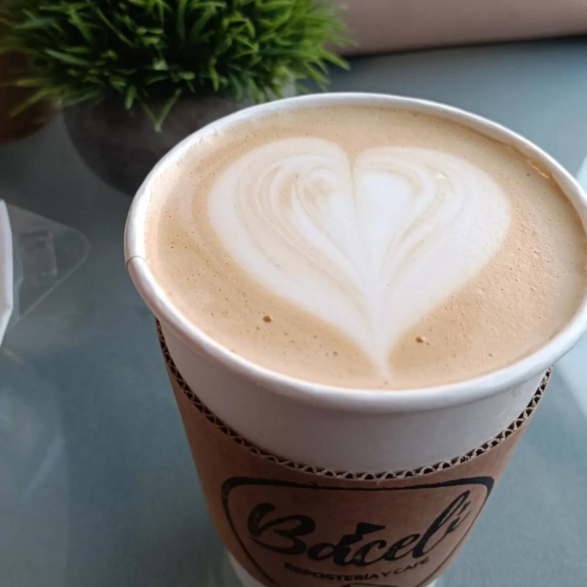 Mocha Blanco Caliente