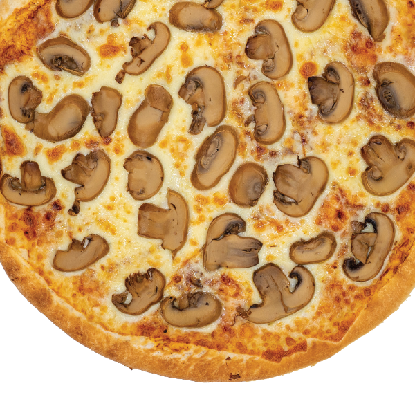 PIZZA GRANDE 1 INGREDIENTE Y PAPAS