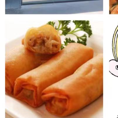 Rollo Primavera (5pzas)