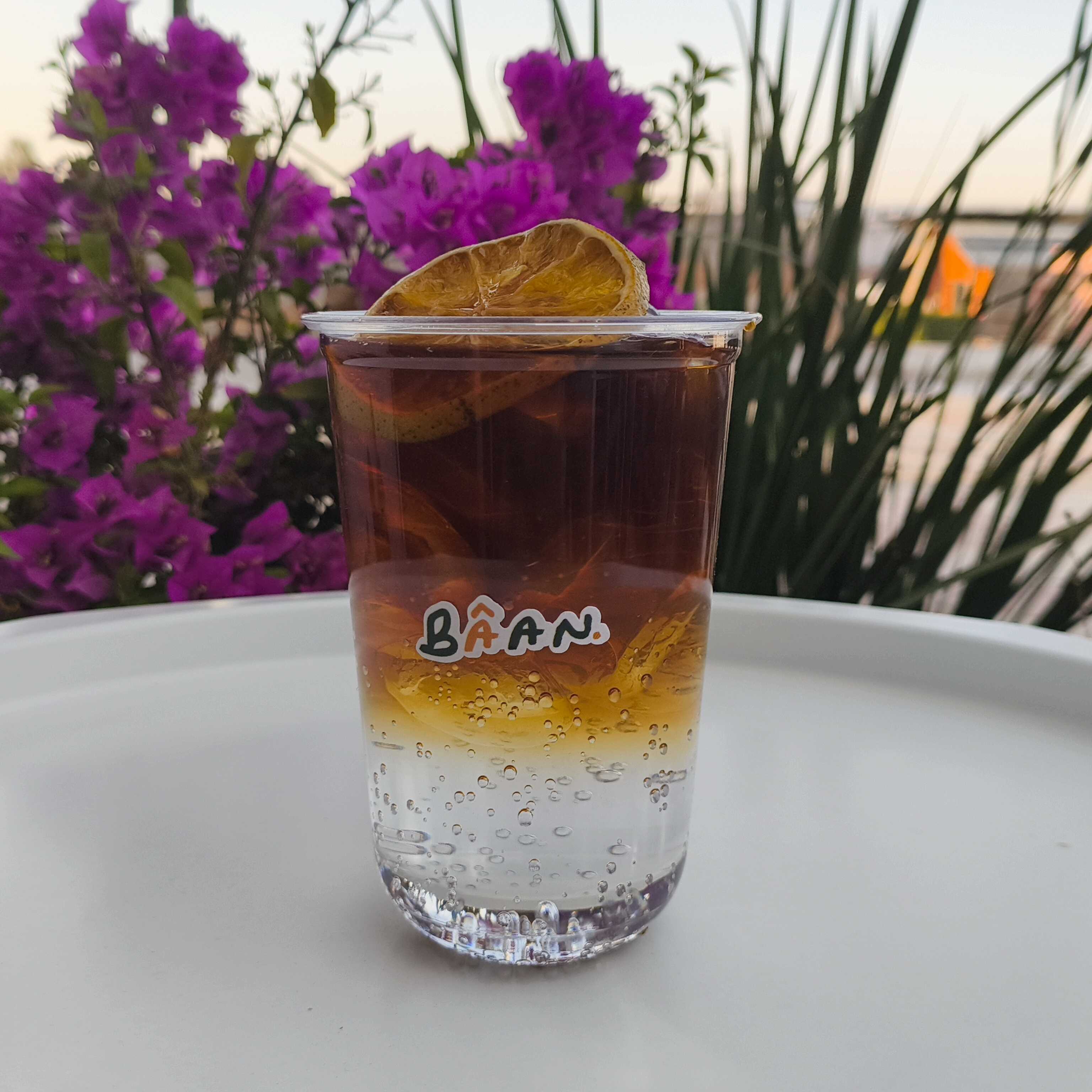 Cold Brew | Tonic