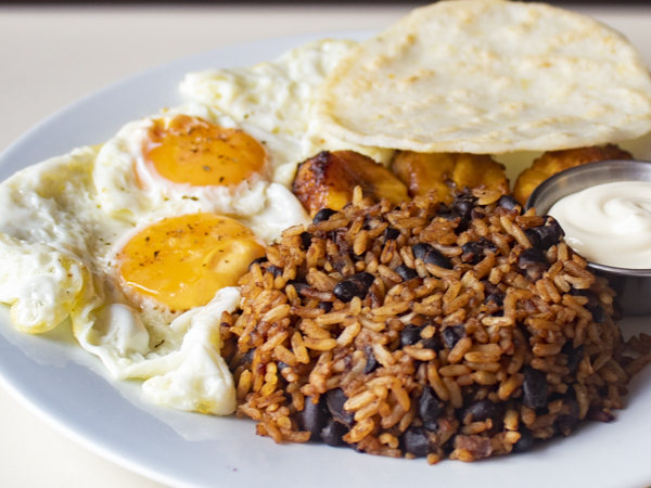 El sabor de la Tortilla - Santa Ana