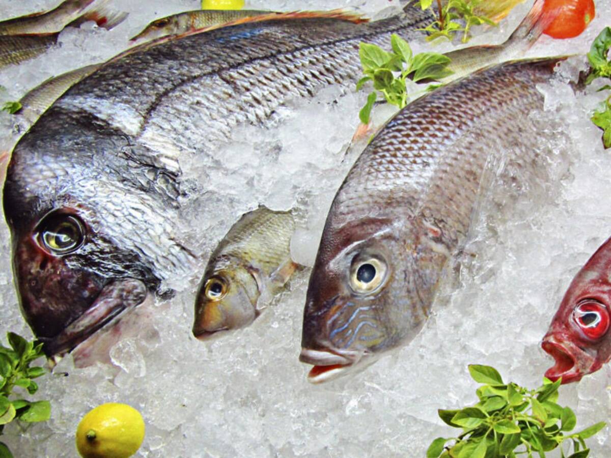 Pescaderia Elisabella