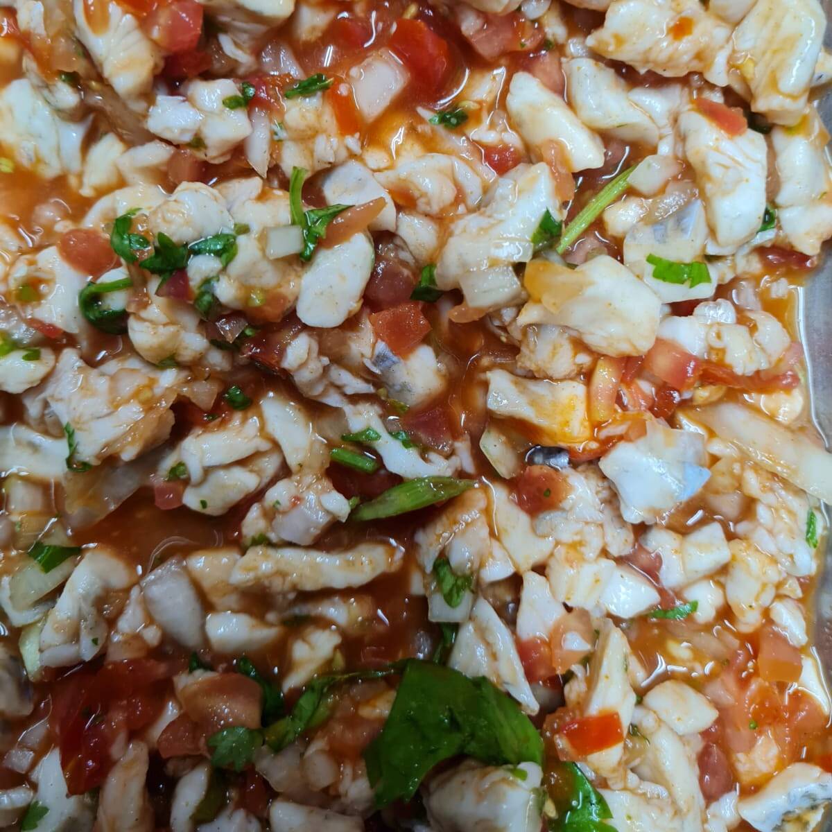 Ceviche de Pescado por Kilo