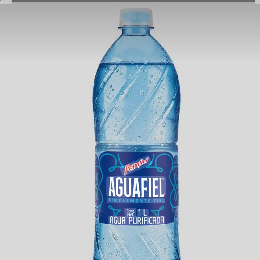 Agua natural de 1 lt