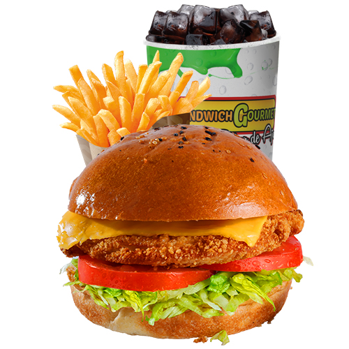 Combo Hamburguesa Apanada