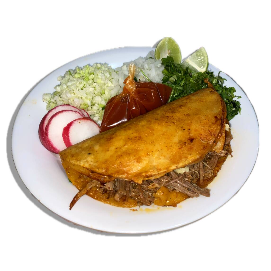 Quesibirría