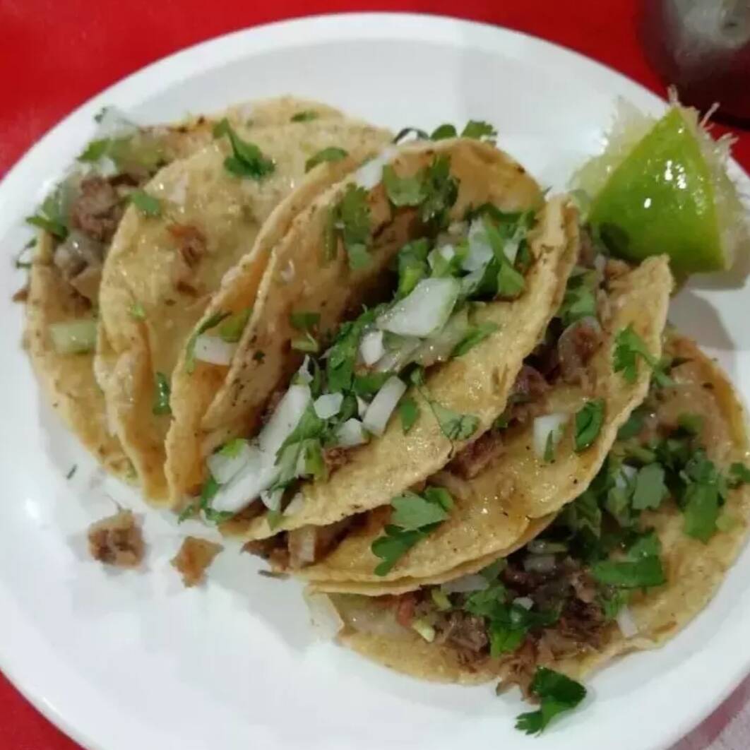 tacos de bistec