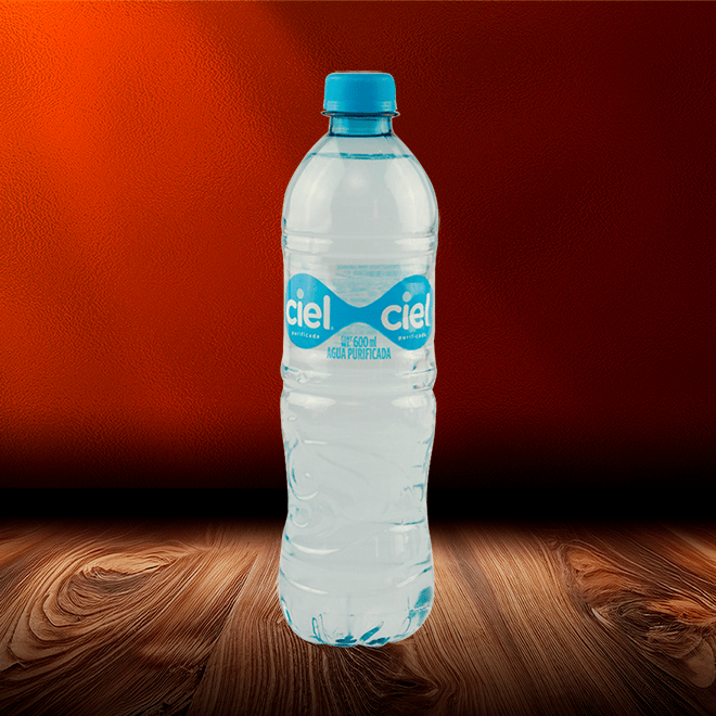 Agua Botella Tr 600 Ml