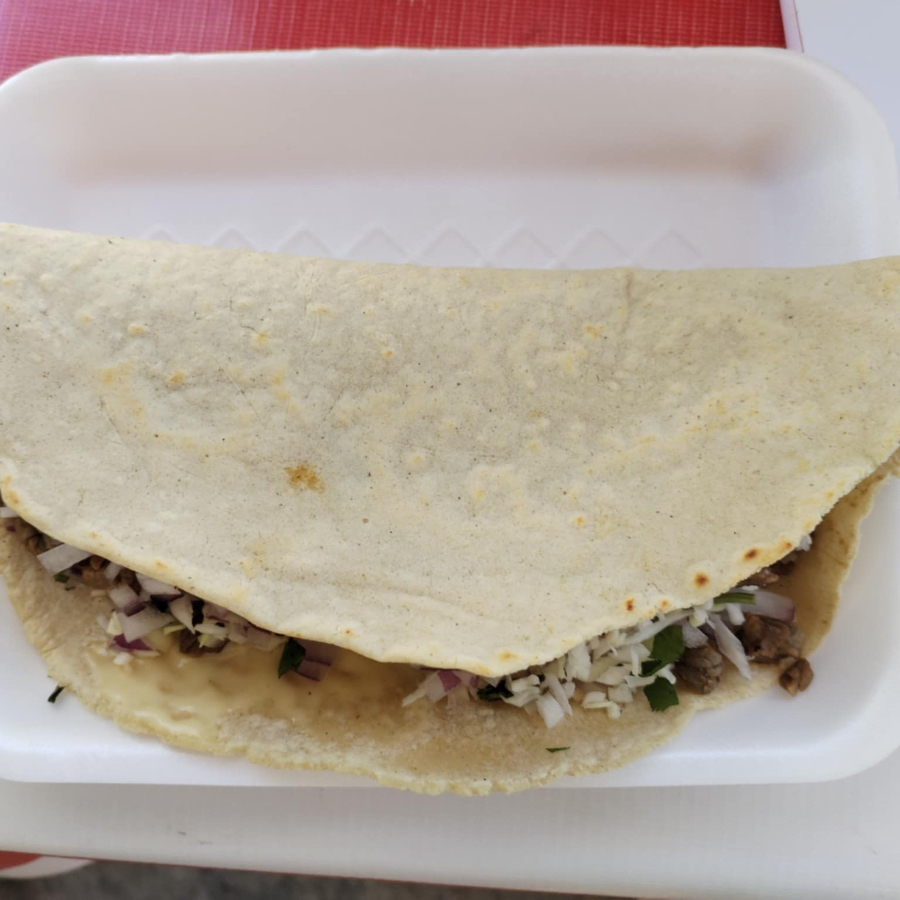Quesadilla de Birria
