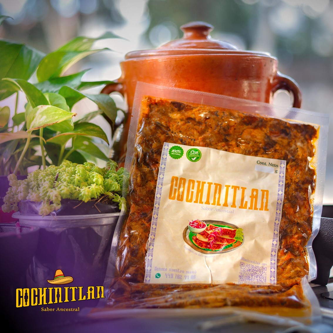 Medio Kilo de Cochinita Pibil