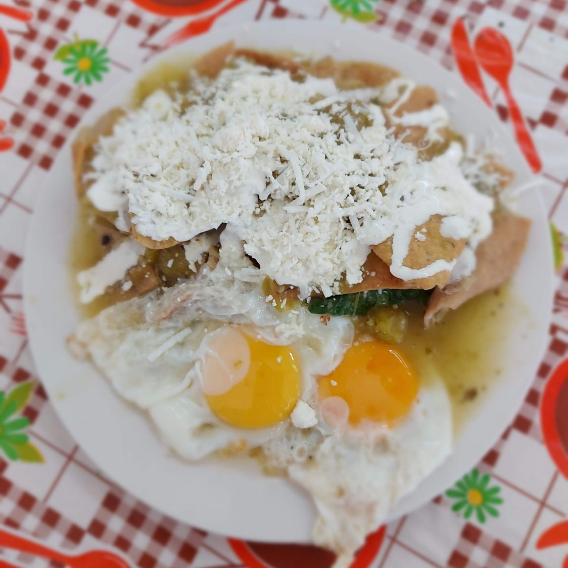 Chilaquiles Grandes Verdes o Rojos