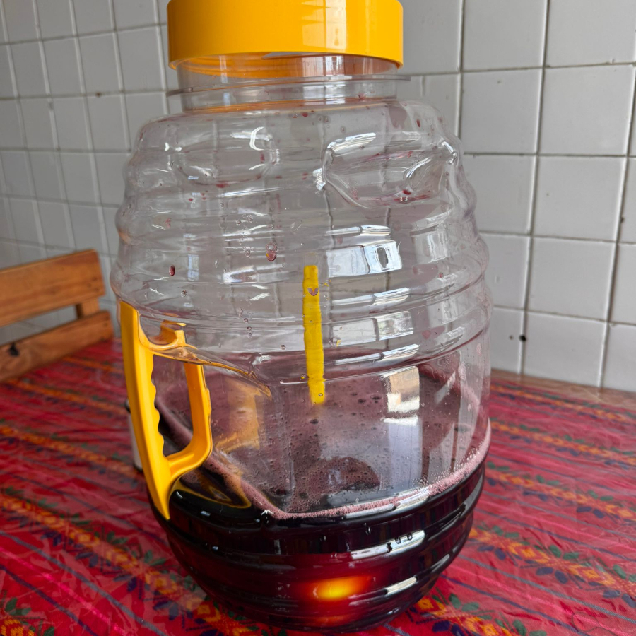 Agua De Jamaica 1L