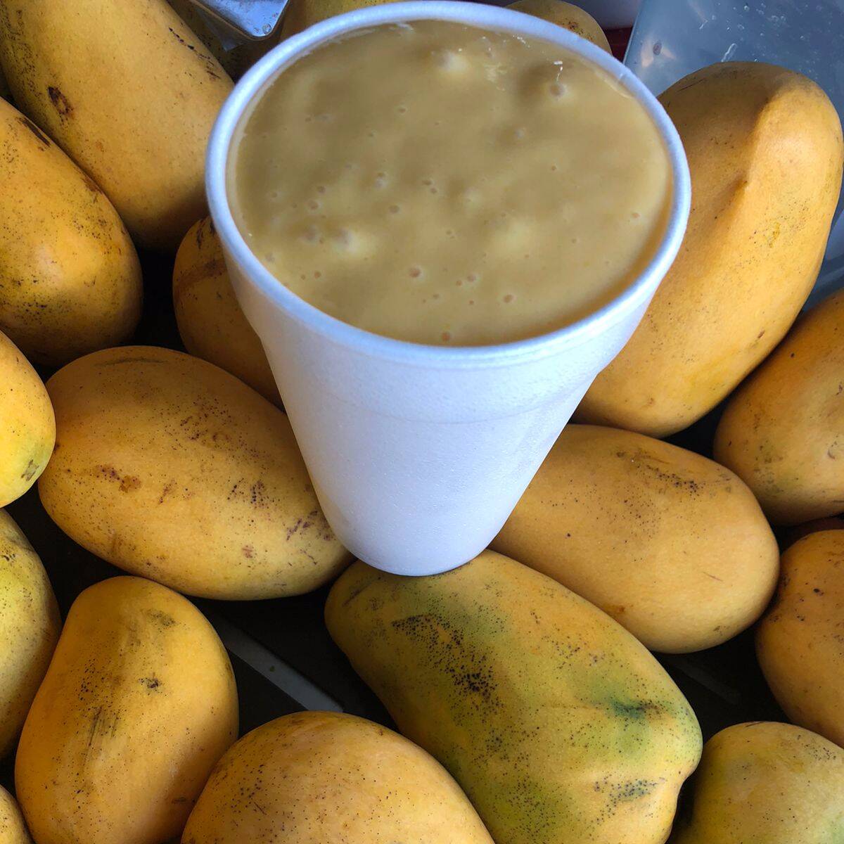 Licuado de Mango (litro)