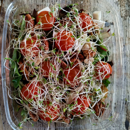 Ensalada Alma Natural.
