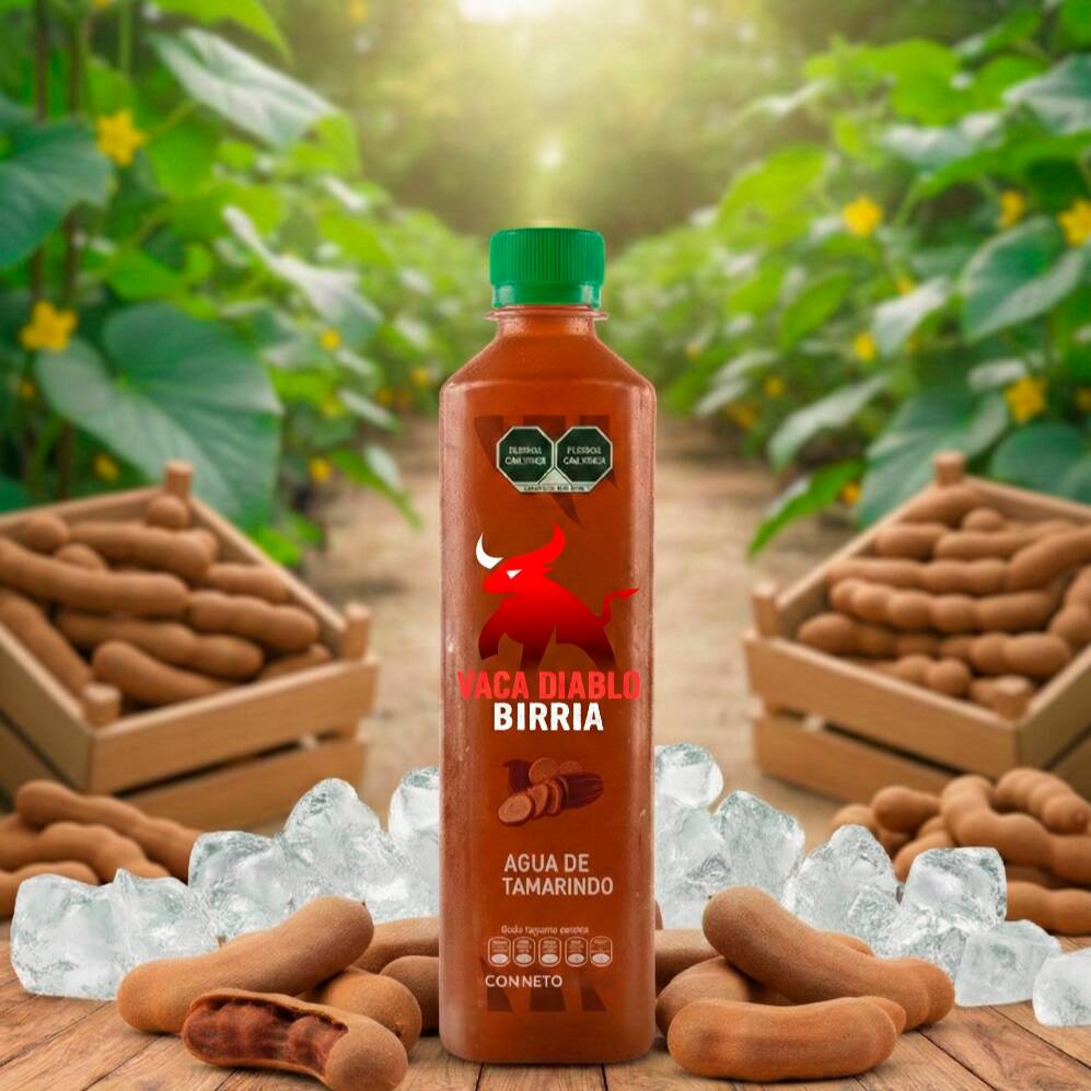 AGUA ALCALINA TAMARINDO NATURAL