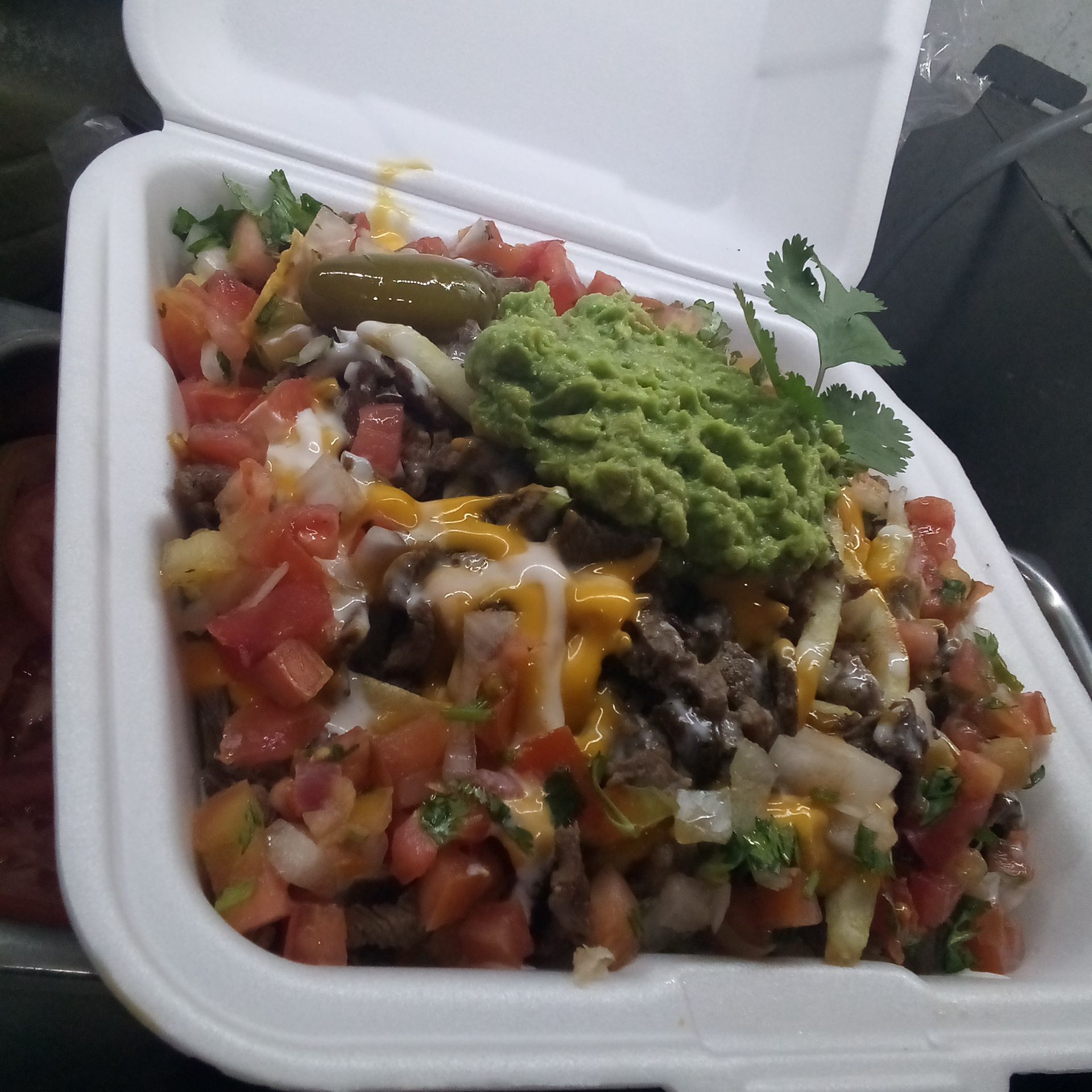 Carne asada fries