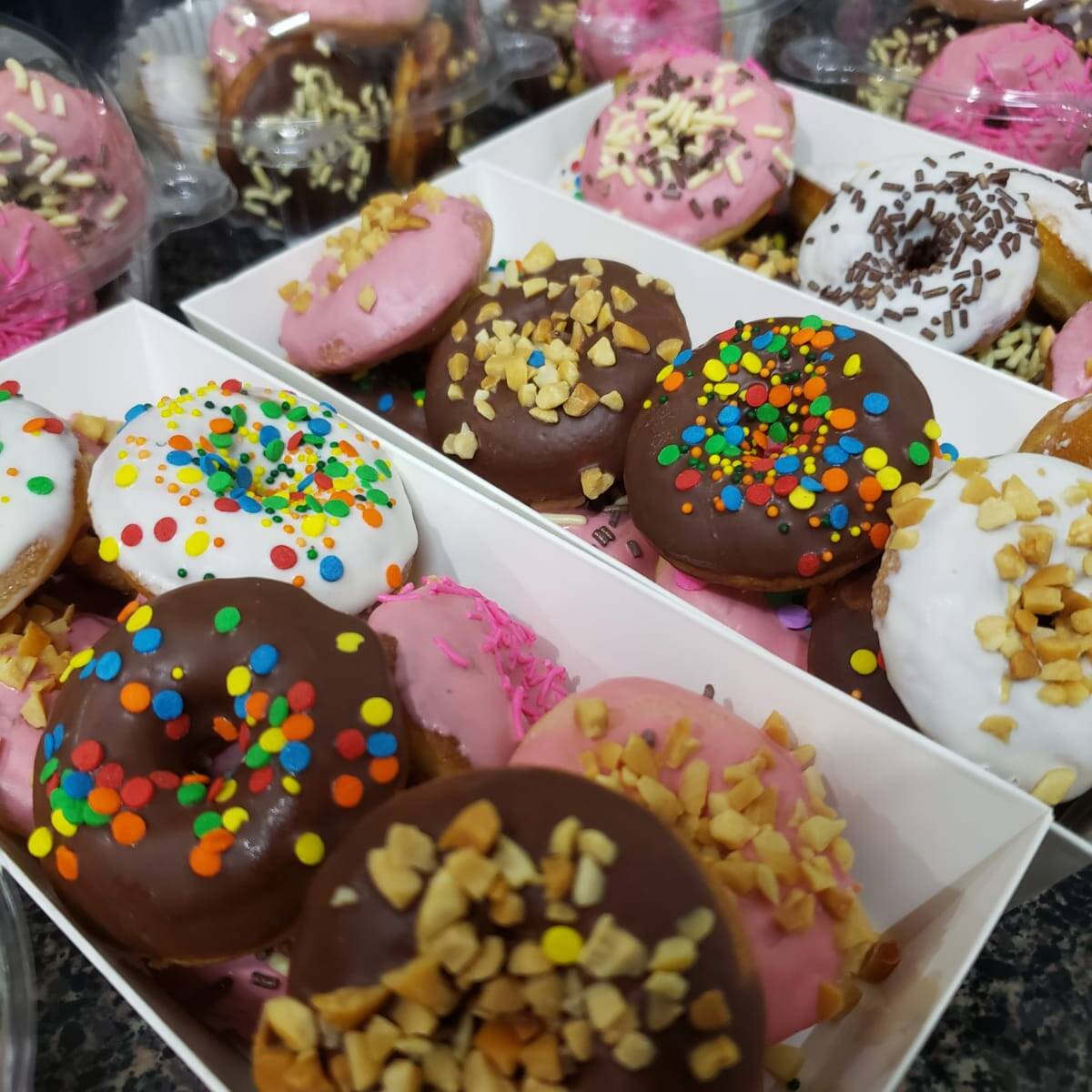 Mini donitas (12 pzs)