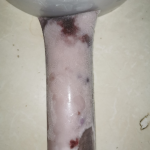 Bolis Queso con Zarzamora