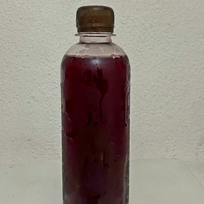 Agua Jamaica Con Menta .355 ml
