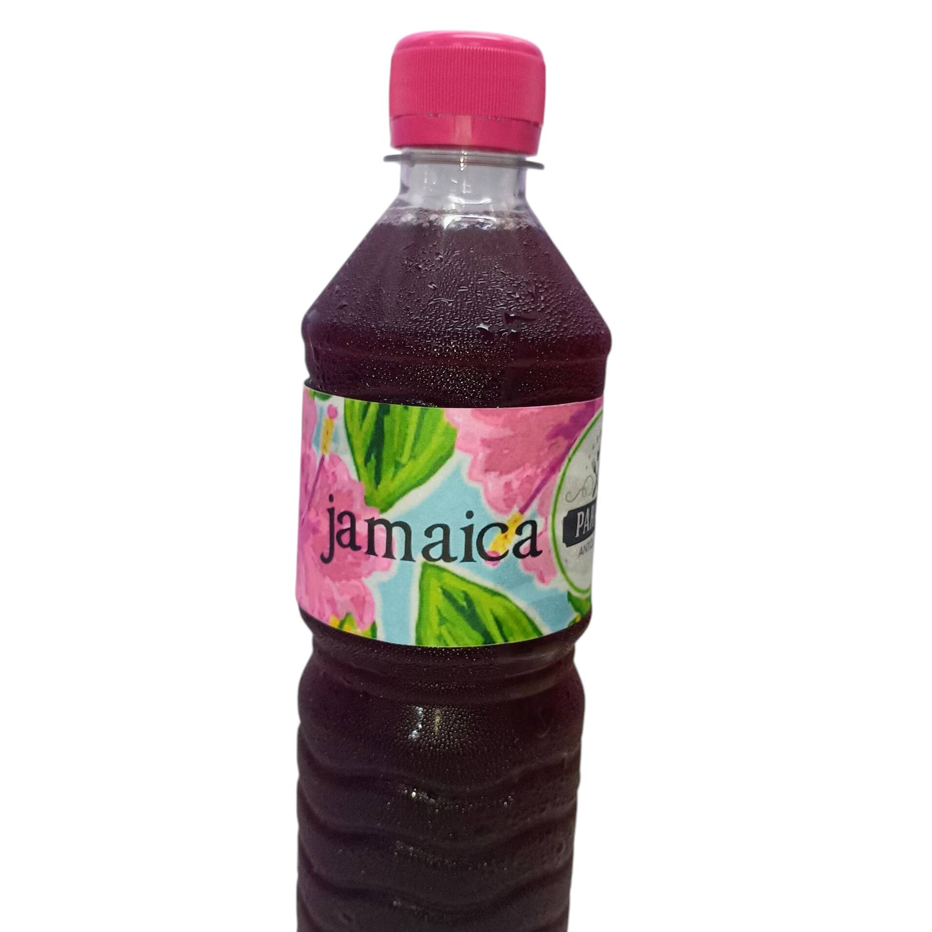 Agua de Jamaica 500 ml