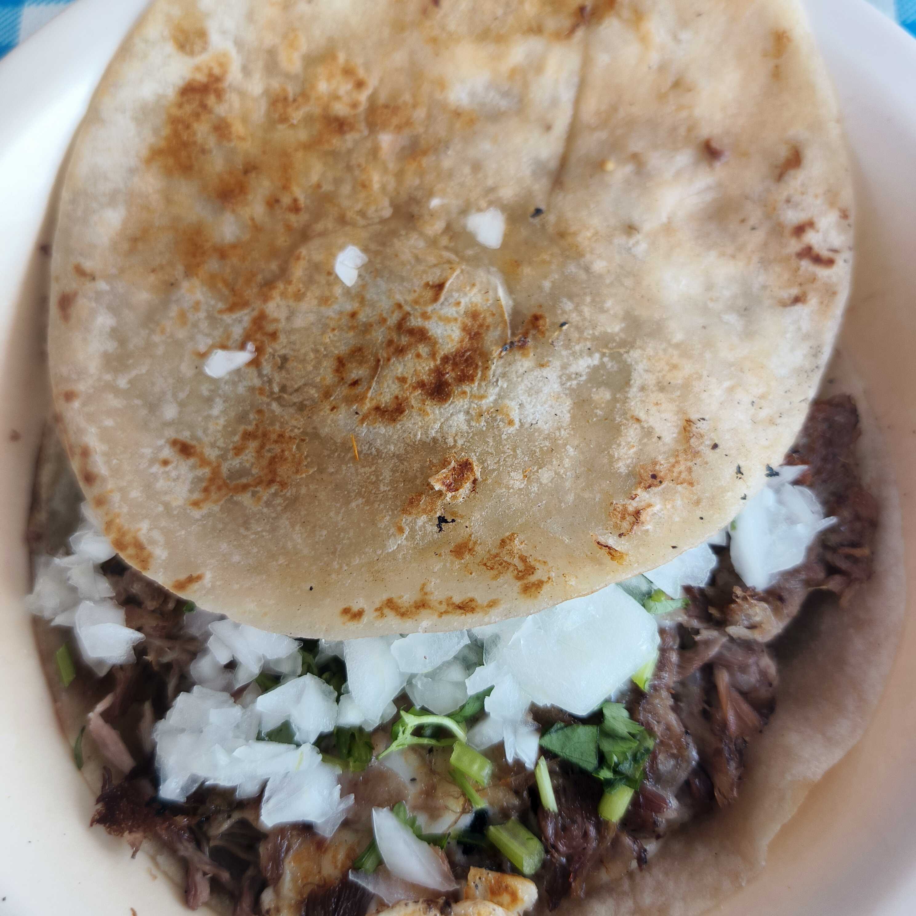 Quesadilla e harina doble