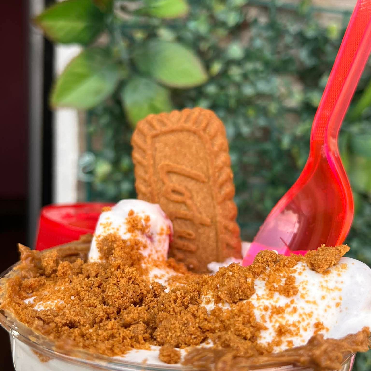 Fresas con Lotus 16 oz