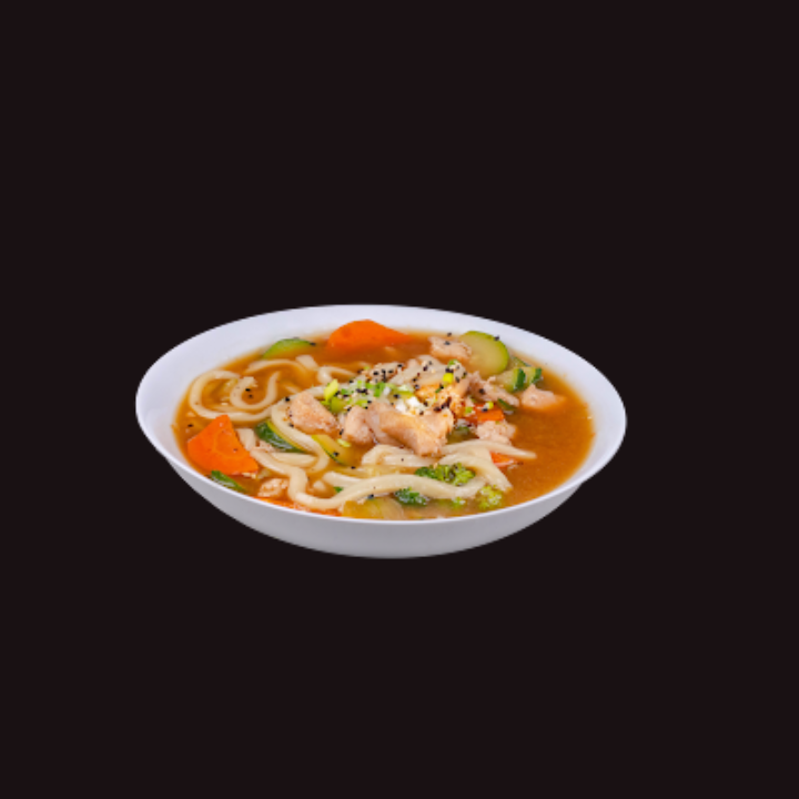 SOPA UDON